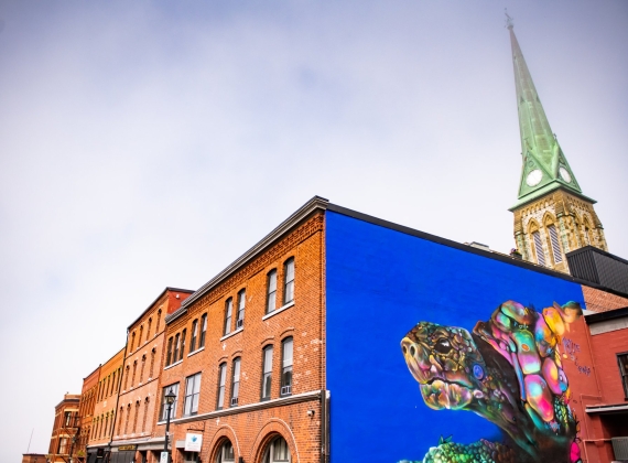 A vibrant mural of a turtle on the side of a building in Saint John