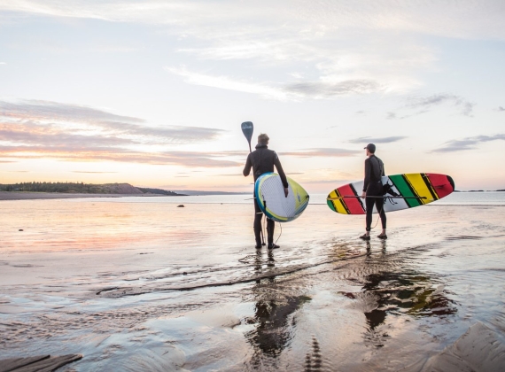 Two paddleboarders by the water