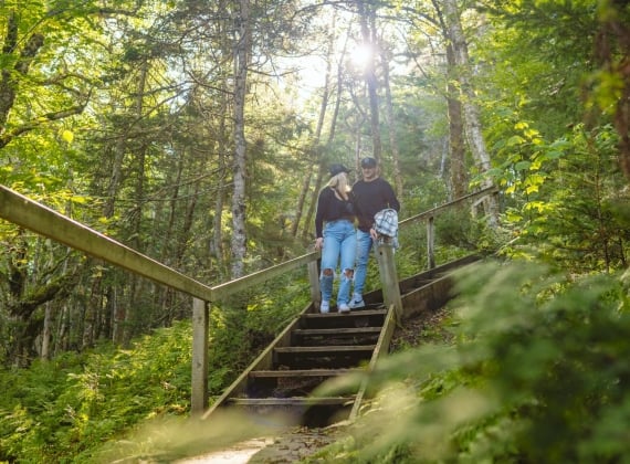A couple on a park hike descends a wooded stairwell