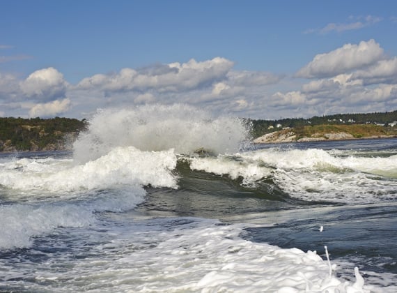 The Reversing Rapids