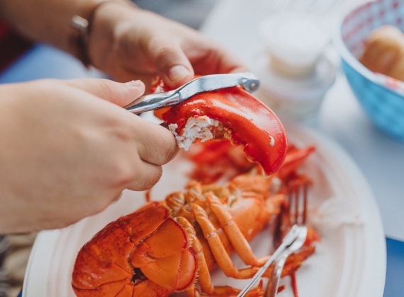Hemming House-Croisières Shediac Bay Cruises eating lobster
