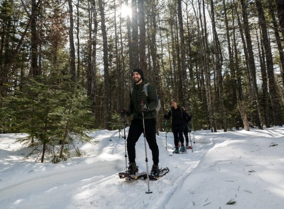 Two snowshoers traverse a snowy wooded area
