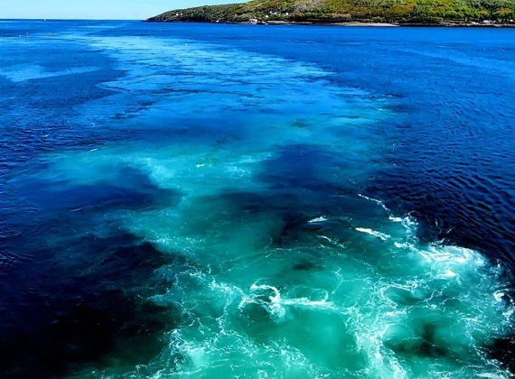 The wake of the ferry creates a trail of lighter blue water through the deep blue water of the ocean