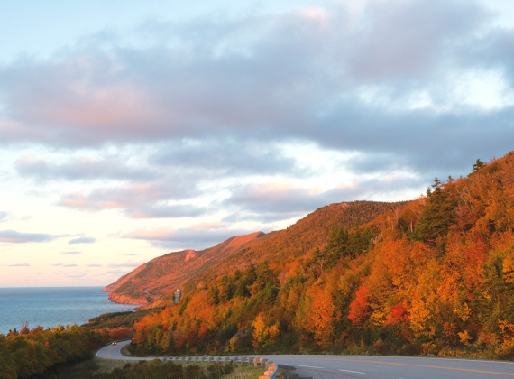 The winding road of the Cabot Trail, at the base of the red-tree lined mountains in fall