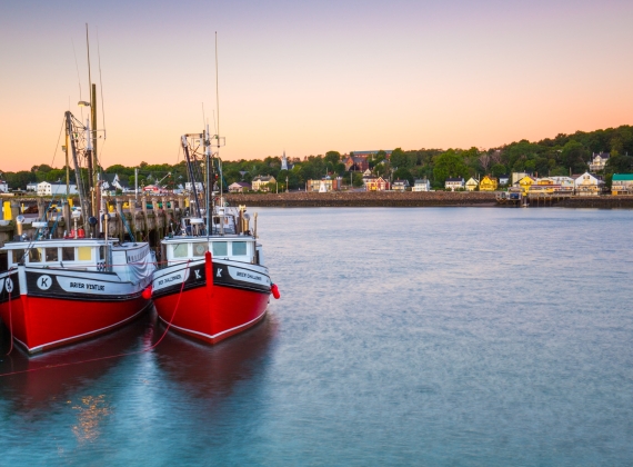 Boats in Digby Harbour