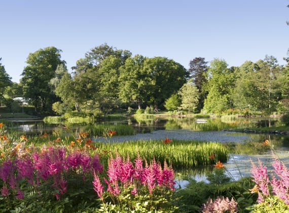 A lake surrounded by flowers in a manicured garden