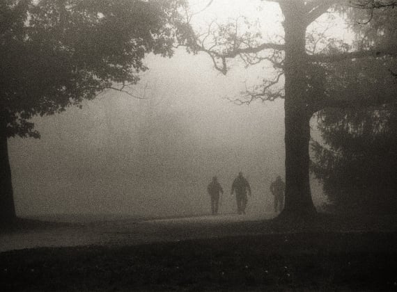 Misty figures in the distance in Wolastoq Park