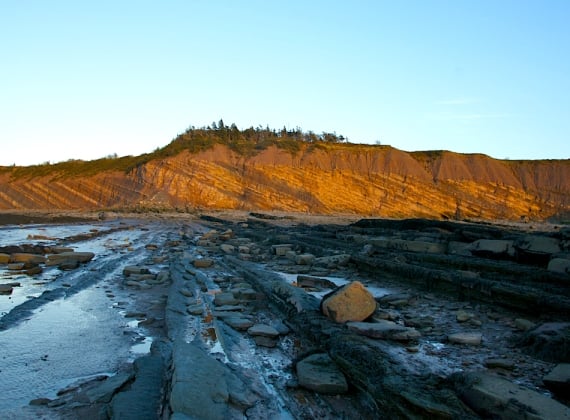 The fossil cliffs at Joggins