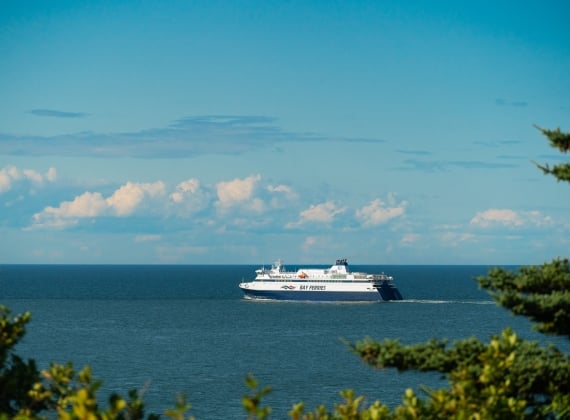 The view from shore of the MV Fundy Rose