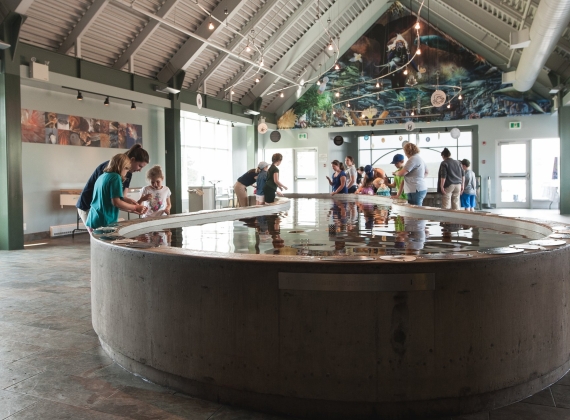 Groups of families around a touch tank aquarium interacting with the exhibit.