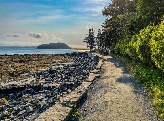 A path along a seawall with green trees and brush on one side, and a rocky beach on the other with a view of the ocean and an island in the distance.