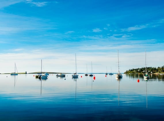 Sailboats with their sails down on still water in the sun.