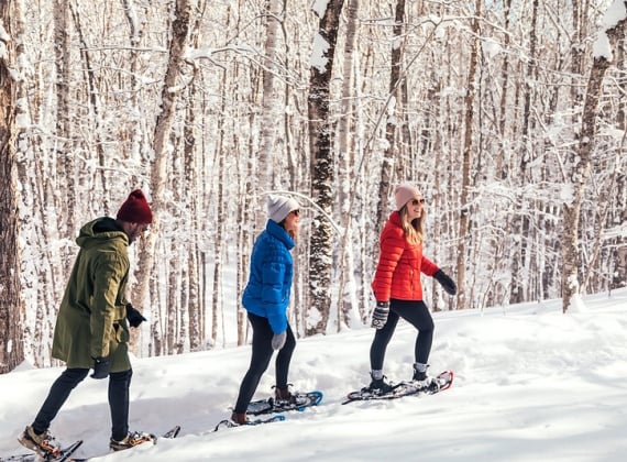 Three snowshoers traverse a forrest