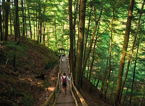 A hiker descends a stairway through a wooded park