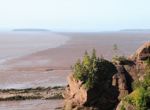 whale watching on the Bay of Fundy -5