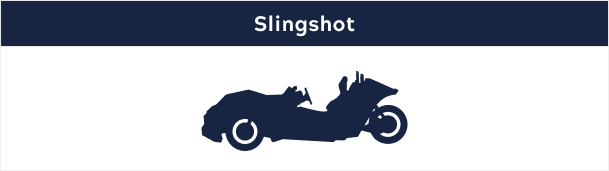 Slingshot