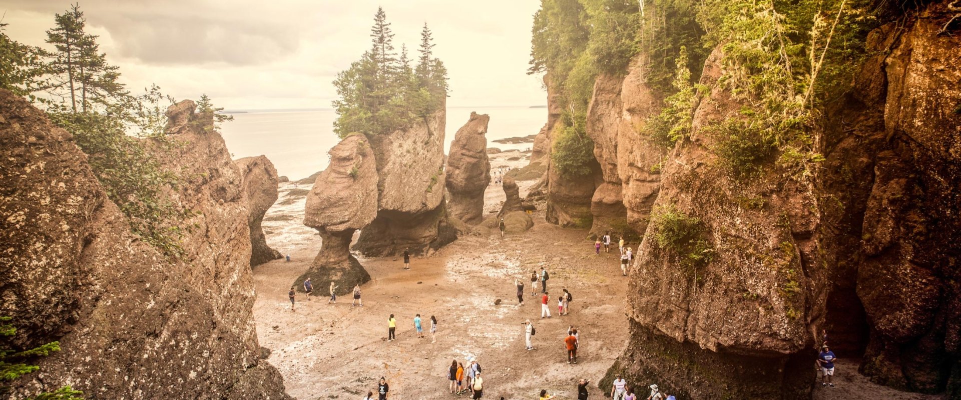 Visitors explore the low tide in the Bay of Fundy