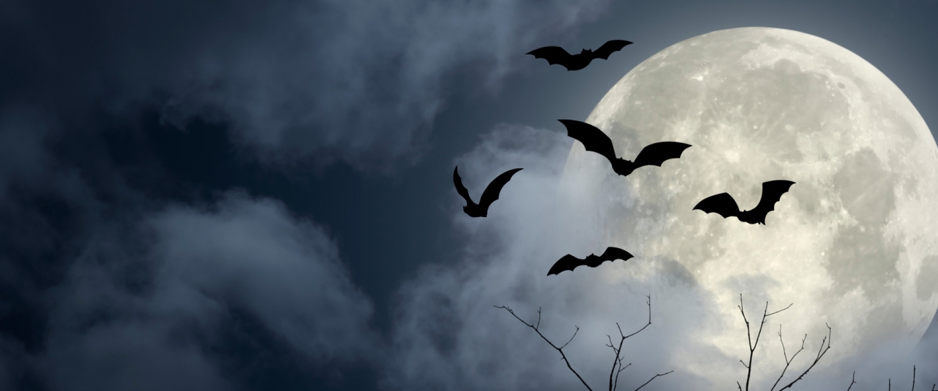 An illustration of bats flying in front of a full moon